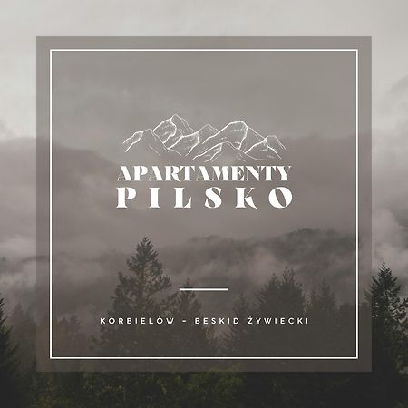 Apartamenty Pilsko Korbielow Ngoại thất bức ảnh